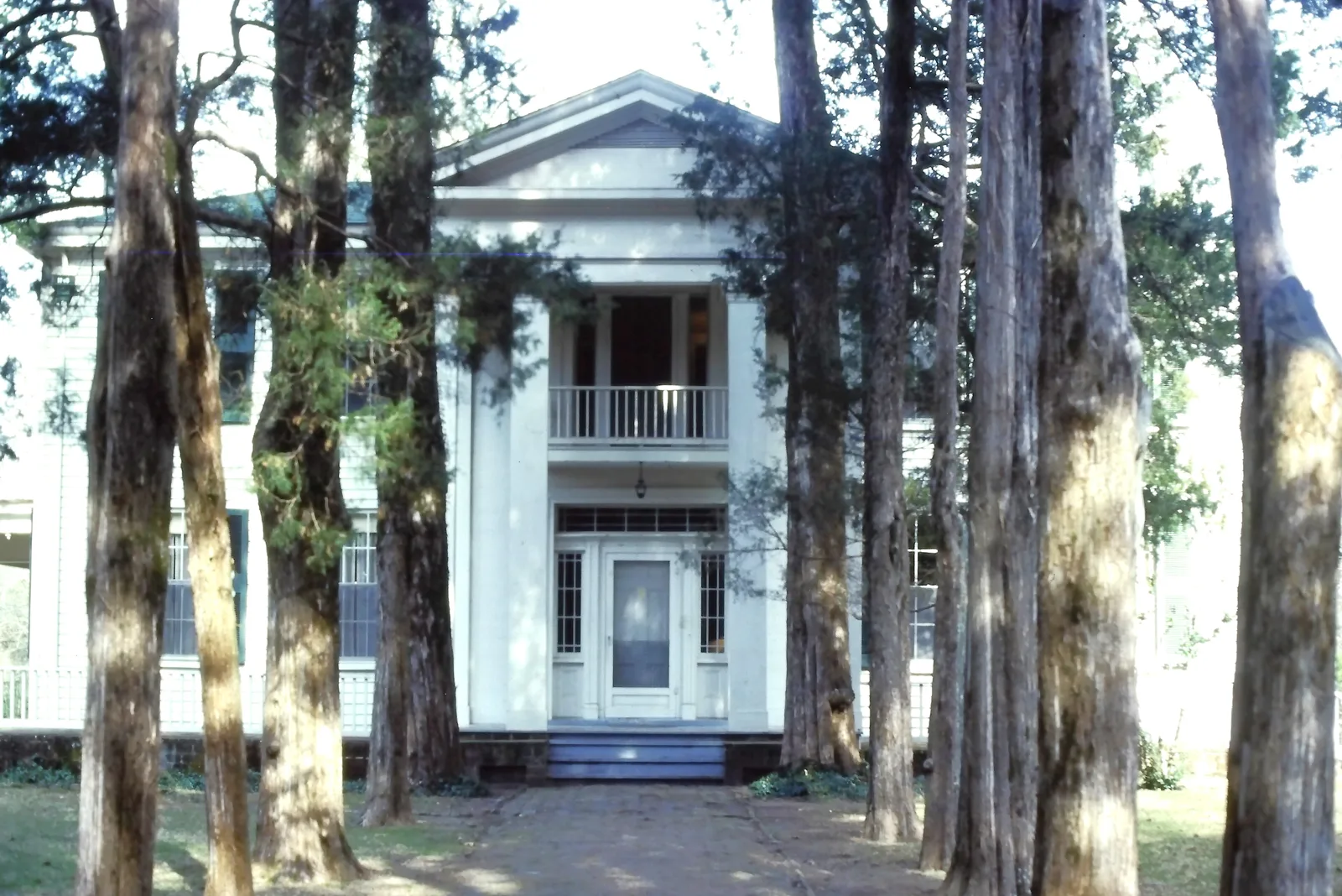 Rowan Oak, William Faulkner's home in Oxford, seen through the cedars that line its front walk.