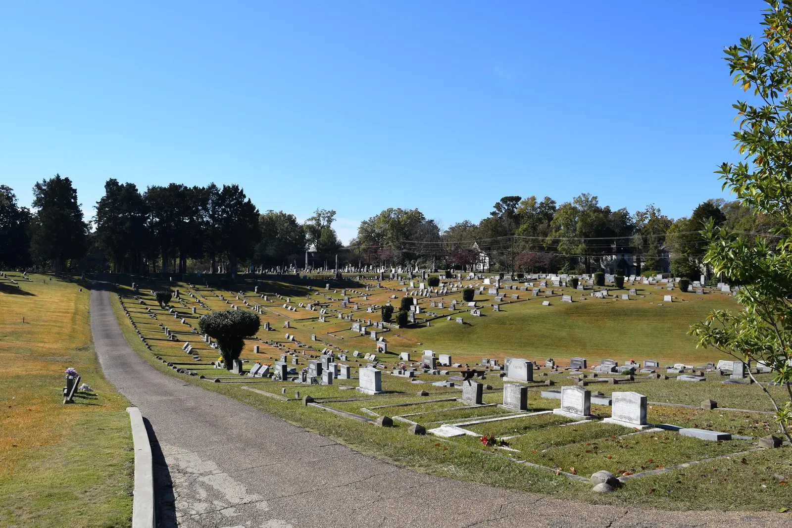 Rows of headstones along a drive at Oxford Memorial Cemetery in Oxford.