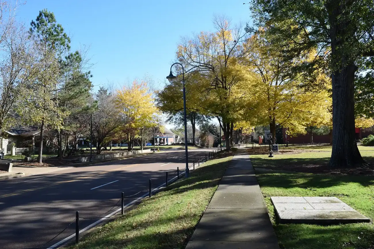 University Avenue in Oxford, looking east from the entrance to the University of Mississippi toward the South Lamar Historic District.