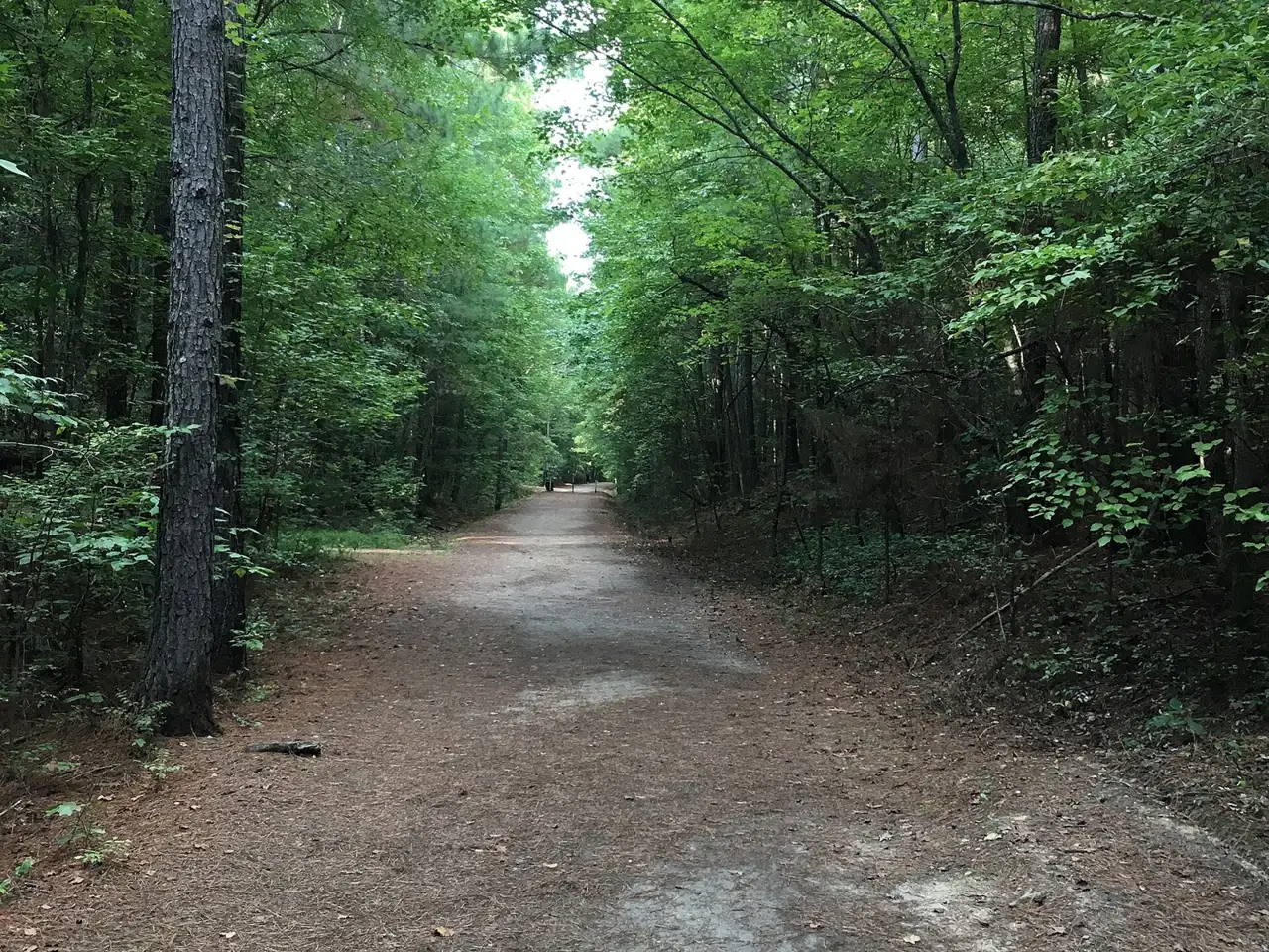 The South Campus Rail Trail in Oxford, where the Ole Miss Thanksgiving morning turkey trot is held.